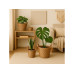 relaxdays Blumentopf im 3er Set, rund