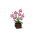 CubicFun Puzzle Pflanzentopf Orchidee 3D, 85 Teile CubicFun Puzzle Pflanzentopf Orchidee 3D, 85 Teile