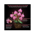 CubicFun Puzzle Pflanzentopf Orchidee 3D, 85 Teile CubicFun Puzzle Pflanzentopf Orchidee 3D, 85 Teile