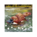 CubicFun Puzzle Schnabeltier 3D, 68 Teile