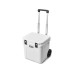 Yeti Kühlbox Roadie 48 Weiss