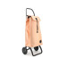 Rolser ROLSER TROLLEY IMAX MF 2 GINGER Lachs/Hellorange Rolser ROLSER TROLLEY IMAX MF 2 GINGER Lachs/Hellorange