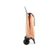 Rolser ROLSER TROLLEY IMAX MF 2 GINGER Lachs/Hellorange Rolser ROLSER TROLLEY IMAX MF 2 GINGER Lachs/Hellorange