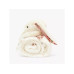 Jellycat Blossom Bunny Kuscheldecke, Cream Berry, Creme, 70 x 56 cm Jellycat Blossom Bunny Kuscheldecke, Cream Berry, Creme, 70 x 56 cm