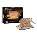 Revell Tiny Adventures – Natural Museum Blue Whale Miniatur, Holz
