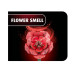 Revell Dream of Roses Holz, Rosen-Bouquet mit Vase und Duft
