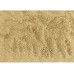 Vitana Grünlippmuschel-Pulver Vitana Grünlippmuschel-Pulver