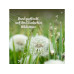 Die Stadtgärtner Wunscherfüller klein Pusteblume Natur