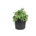 Gorilla Gardening Pflanzsack Schwarz Gorilla Gardening Pflanzsack Schwarz