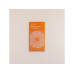 Gorilla Gardening Ringelblume Erfurter Orangefarbige