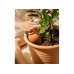 Gorilla Gardening Olla Keramik und Kork 250 ml