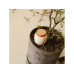 Gorilla Gardening Trio Mini Ollas