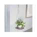 Gorilla Gardening Hochbeet Pflanzenregal Ahornplatte Baumwollschnur 15 cm