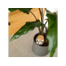 Gorilla Gardening Olla Bewässerungshilfe Keramik Kork 250 ml