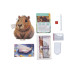 CRAFT Buddy Buddy Capybara