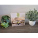 CHALET Chalet Deko-Set Completo Grün Grau CHALET Chalet Deko-Set Completo Grün Grau