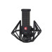 sE Electronics VR1 Passives Bändchenmikrofon Schwarz