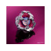 BEYBLADE X Gravesand Kreisel Set mit Starter BEYBLADE X Gravesand Kreisel Set mit Starter