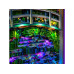 Light My Bricks LEGO 31220 Claude Monet – Seerosenteich LED-Beleuchtungsset