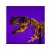 Light My Bricks Licht Set für Dinosaur Fossils: Tyrannosaurus Rex, 76968 Light My Bricks Licht Set für Dinosaur Fossils: Tyrannosaurus Rex, 76968
