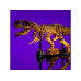 Light My Bricks Licht Set für Dinosaur Fossils: Tyrannosaurus Rex, 76968 Light My Bricks Licht Set für Dinosaur Fossils: Tyrannosaurus Rex, 76968