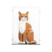 iDisplayit Acryl-Display für LEGO® 21376 Orange Cat Modell iDisplayit Acryl-Display für LEGO® 21376 Orange Cat Modell