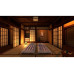 CentreSoft House Flipper 2 - Sakura (Box)