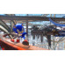 SEGA Sonic Frontiers – Definitive Edition (NSW2) (Game-Key Card)
