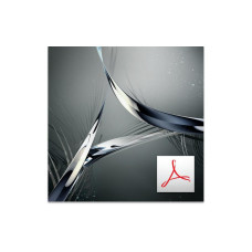Adobe Acrobat Standard DC Vollversion, Level 1/1-9, 1 Jahr, MP