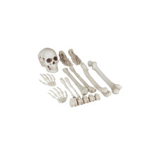 relaxdays Deko-Knochen 12-teiliges Set relaxdays Deko-Knochen 12-teiliges Set