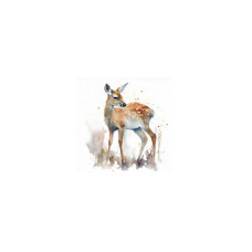 Braun + Company Deer Mehrfarbig, 20 Stück Braun + Company Deer Mehrfarbig, 20 Stück