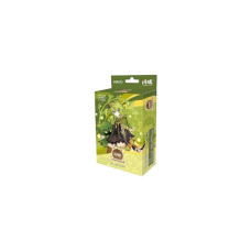 MiHoYo Pre-Build Starter Deck 05 Collei Series 1 -CN- vorgefertigt