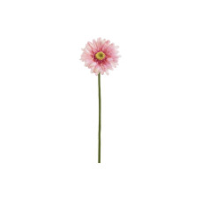 Botanic-Haus Gerbera 57 cm Botanic-Haus Gerbera 57 cm
