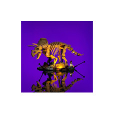 Light My Bricks Licht Set für Jurassic World Dinosaur Fossils, 77985 Light My Bricks Licht Set für Jurassic World Dinosaur Fossils, 77985