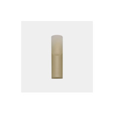 Yamaha REED-YVS100