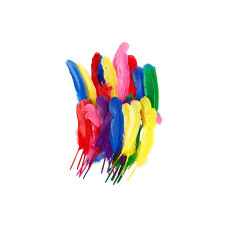Creativ Company Federn Hühner, L 20 cm, Sortierte Farben, 36 Stück Creativ Company Federn Hühner, L 20 cm, Sortierte Farben, 36 Stück