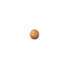 Remo Fruit Shaker Orange