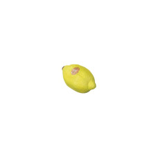Remo Fruit Shaker LEMN Zitrone