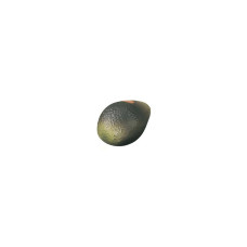 Remo Fruit Shaker Avocado