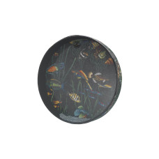 Remo Ocean Drum 16 Fish Graphic