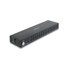 Delock Industrie Hub (16 x USB 5 Gbps Typ-A)