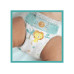 Pampers Windeln Baby Dry Monatsbox Grösse 6 Pampers Windeln Baby Dry Monatsbox Grösse 6