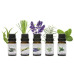 Rio Duftöl-Set Pure Essential Oil 5 x 10 ml Rio Duftöl-Set Pure Essential Oil 5 x 10 ml