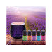 Rio Duftöl-Set Wellbeing Essential Oil 5 x 10 ml Rio Duftöl-Set Wellbeing Essential Oil 5 x 10 ml