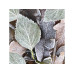 Paper + Design Servietten Winterblätter 33 x 33 cm, 20 Stück Paper + Design Servietten Winterblätter 33 x 33 cm, 20 Stück