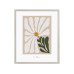 Goldbuch Bilderrahmen Aura Beige, 40 x 50 cm Goldbuch Bilderrahmen Aura Beige, 40 x 50 cm