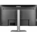 iiyama Monitor ProGraphic HB3201UHSNP-B1