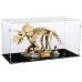 iDisplayit Acryl-Display für LEGO® 77985 Triceratops iDisplayit Acryl-Display für LEGO® 77985 Triceratops