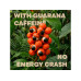 Joltz Joltz Energy Gum Peppermint Peppermint, zuckerfrei Joltz Joltz Energy Gum Peppermint Peppermint, zuckerfrei