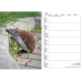 Calendaria Schweizer Foto-Almanach Geschäftsagenda, A5, 2027